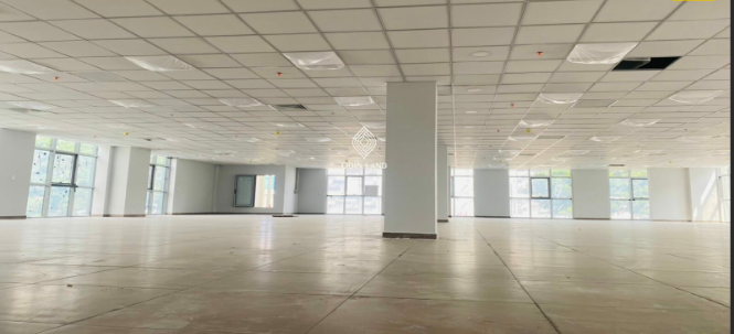 https://sts-vn.com/office-for-lease-vista-tan-cang?lang=en